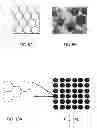 Fig. 06 - CELL CULTURE SUBSTRATE HAVING UNIFORM SURFACE COATING