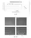 Fig. 07 - CELL CULTURE SUBSTRATE HAVING UNIFORM SURFACE COATING