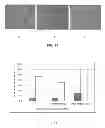 Fig. 08 - CELL CULTURE SUBSTRATE HAVING UNIFORM SURFACE COATING