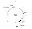 Fig. 03 - Vectors, host cells, and methods of production and uses