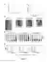 Fig. 06 - Self-renewing endodermal progenitor lines generated from human pluripotent stem cells and methods of use thereof