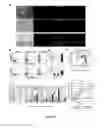 Fig. 08 - Self-renewing endodermal progenitor lines generated from human pluripotent stem cells and methods of use thereof