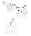 Fig. 02 - Microfluidic platform for cell culturing, and cell culturing method using same