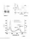 Fig. 03 - OPTICAL DETECTION OF CYANIDES, METHOD, KIT AND DEVICE