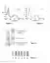 Fig. 06 - OPTICAL DETECTION OF CYANIDES, METHOD, KIT AND DEVICE