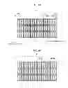 Fig. 07 - Method of manufacturing display panel