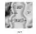 Fig. 12 - Memory architecture of 3D array with diode in memory string