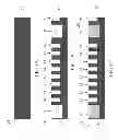 Fig. 02 - Method for stress reduced manufacturing semiconductor devices