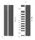 Fig. 10 - Method for stress reduced manufacturing semiconductor devices