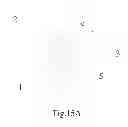 Fig. 19 - Package module, package terminal and manufacturing method thereof