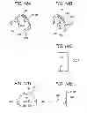 Fig. 15 - Ground terminal and connector provided therewith