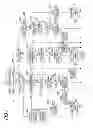 Fig. 08 - Outboard motor control apparatus
