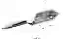 Fig. 37 - Fleet protection attack craft