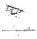 Fig. 05 - Protective bridle for waterskiing