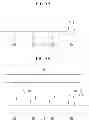 Fig. 06 - Liquid crystal display, panel therefor, and manufacturing method thereof