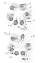 Fig. 07 - Multi-platen multi-head polishing architecture