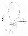 Fig. 02 - SELF-RECORDED OUTGOING MESSAGING