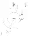 Fig. 06 - System and method for device-to-device operation in a cellular communications system