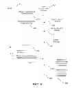 Fig. 11 - Skill normalized hybrid game