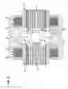Fig. 06 - Collapsible clutching differential