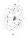 Fig. 03 - SPUR-GEAR DIFFERENTIAL