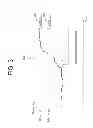 Fig. 04 - Apparatus and method for estimating anaerobic threshold