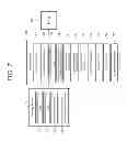 Fig. 08 - Apparatus and method for estimating anaerobic threshold