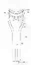 Fig. 01 - Face and lips exercise apparatus and methods of using the same