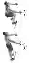 Fig. 14 - Exercise device