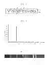 Fig. 02 - SUBSTRATE FOR OLED, METHOD OF FABRICATING THE SAME AND ORGANIC LIGHT-EMITTING DEVICE HAVING THE SAME