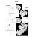 Fig. 03 - Method for forming titanium oxide film on surface of molded product composed of cyclic olefin resin