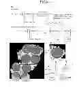 Fig. 04 - Method for forming titanium oxide film on surface of molded product composed of cyclic olefin resin