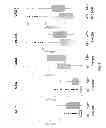 Fig. 09 - Methods of disease activity profiling for personalized therapy management