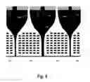 Fig. 07 - Method for chip-integrated label-free detection and absorption spectroscopy with high throughput, sensitivity, and specificity