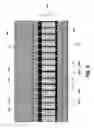 Fig. 09 - Method for chip-integrated label-free detection and absorption spectroscopy with high throughput, sensitivity, and specificity