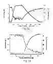 Fig. 17 - Amide branched aromatic gelling agent enhancers and breakers