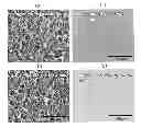 Fig. 01 - Carbon layer derived from carbide ceramics and preparation method thereof