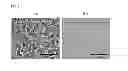 Fig. 02 - Carbon layer derived from carbide ceramics and preparation method thereof
