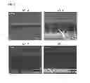 Fig. 07 - Carbon layer derived from carbide ceramics and preparation method thereof