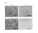 Fig. 09 - Carbon layer derived from carbide ceramics and preparation method thereof