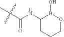 Fig. 294 - Macrocyclic broad spectrum antibiotics