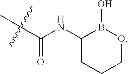 Fig. 320 - Macrocyclic broad spectrum antibiotics