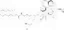 Fig. 366 - Macrocyclic broad spectrum antibiotics