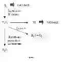 Fig. 07 - Use of a Composition Comprising Acylated Steryl Glucoside in the Manufacture of a Product