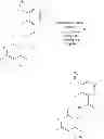 Fig. 445 - Dihidropyridin-2-one benzamine compounds