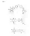 Fig. 02 - METHOD OF TREATING INFLAMMATORY DISEASES USING ADENOSINE 2B RECEPTOR ANTAGONISTS