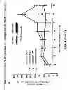 Fig. 09 - MODULATION OF CELL BARRIER DYSFUNCTION