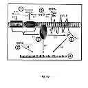 Fig. 22 - MODULATION OF CELL BARRIER DYSFUNCTION