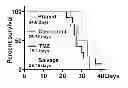Fig. 01 - Methods and compounds for treating cancer