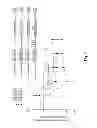 Fig. 03 - RAAV-based compositions and methods for treating alpha-1 anti-trypsin deficiencies